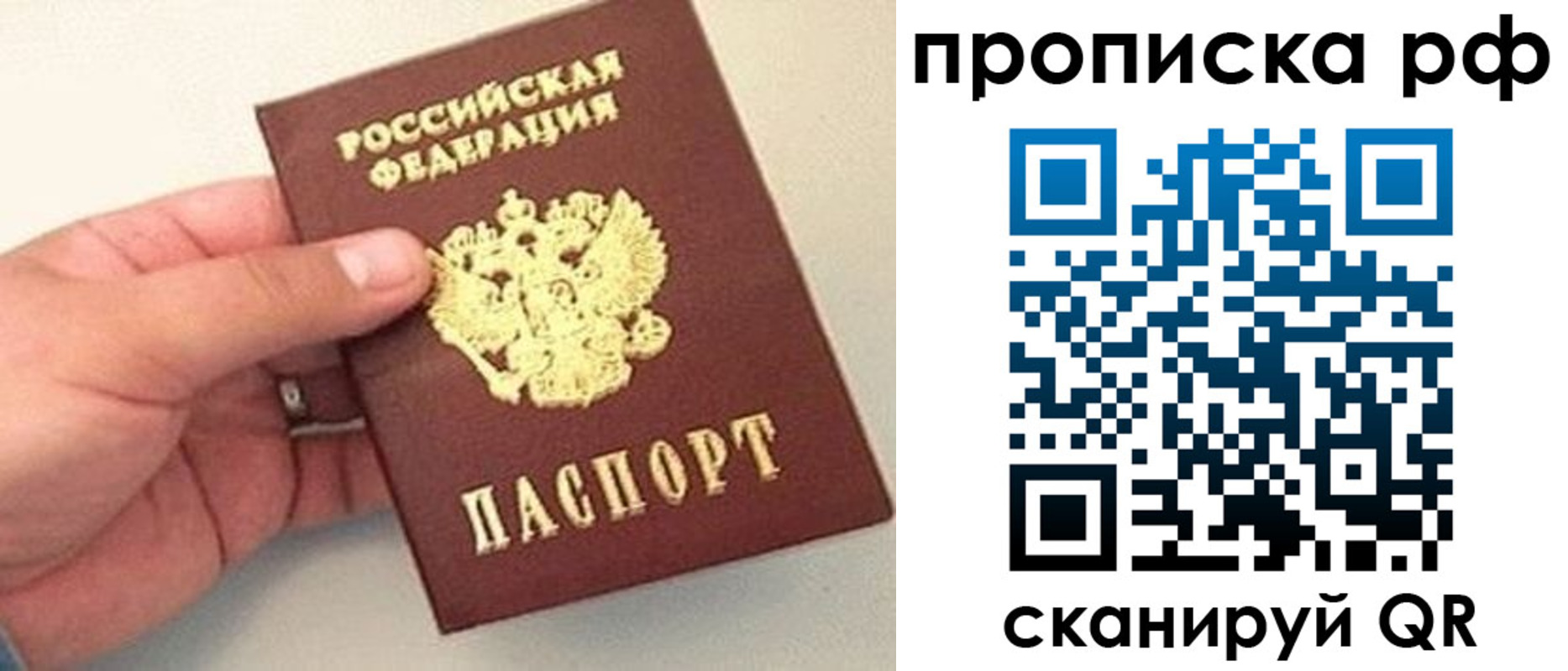 временная регистрация для всех в Зее